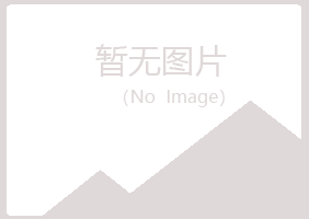 鹤壁山城向彤化学有限公司